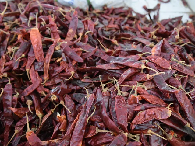 A pile of whole dried red chillies